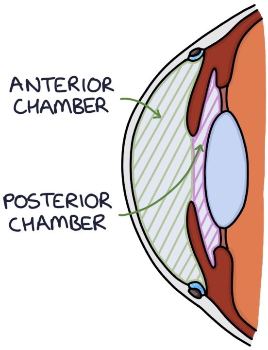 Open Angle Zero To Finals