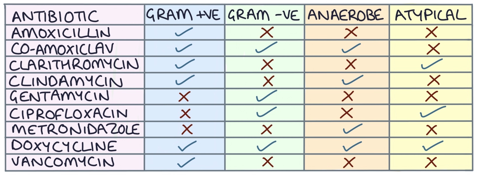 Antibiotics Zero To Finals