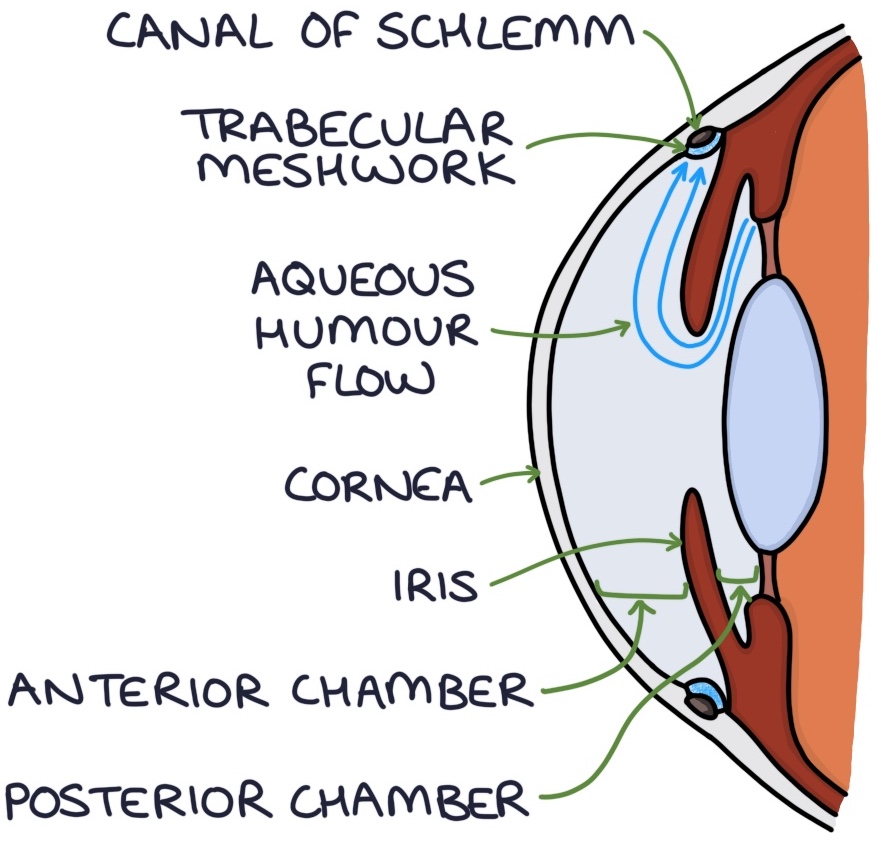 Open Angle Zero To Finals