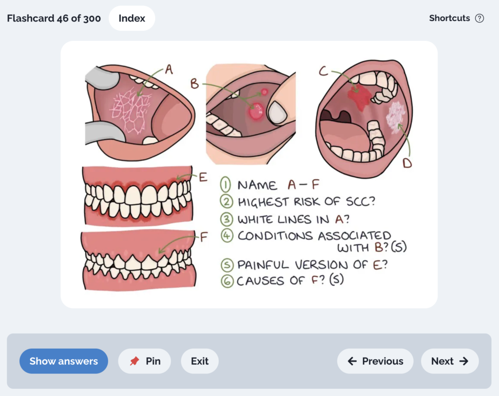 Digital Flashcards