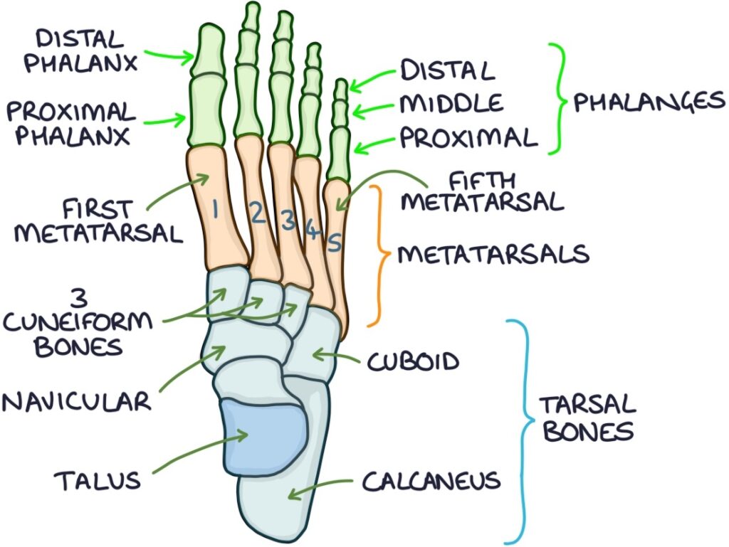 Skeleton Zero To Finals