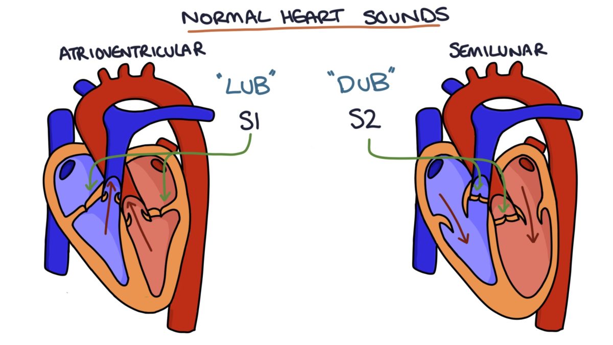 Valvular Heart Disease – Zero To Finals